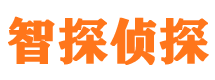 青云谱寻人公司